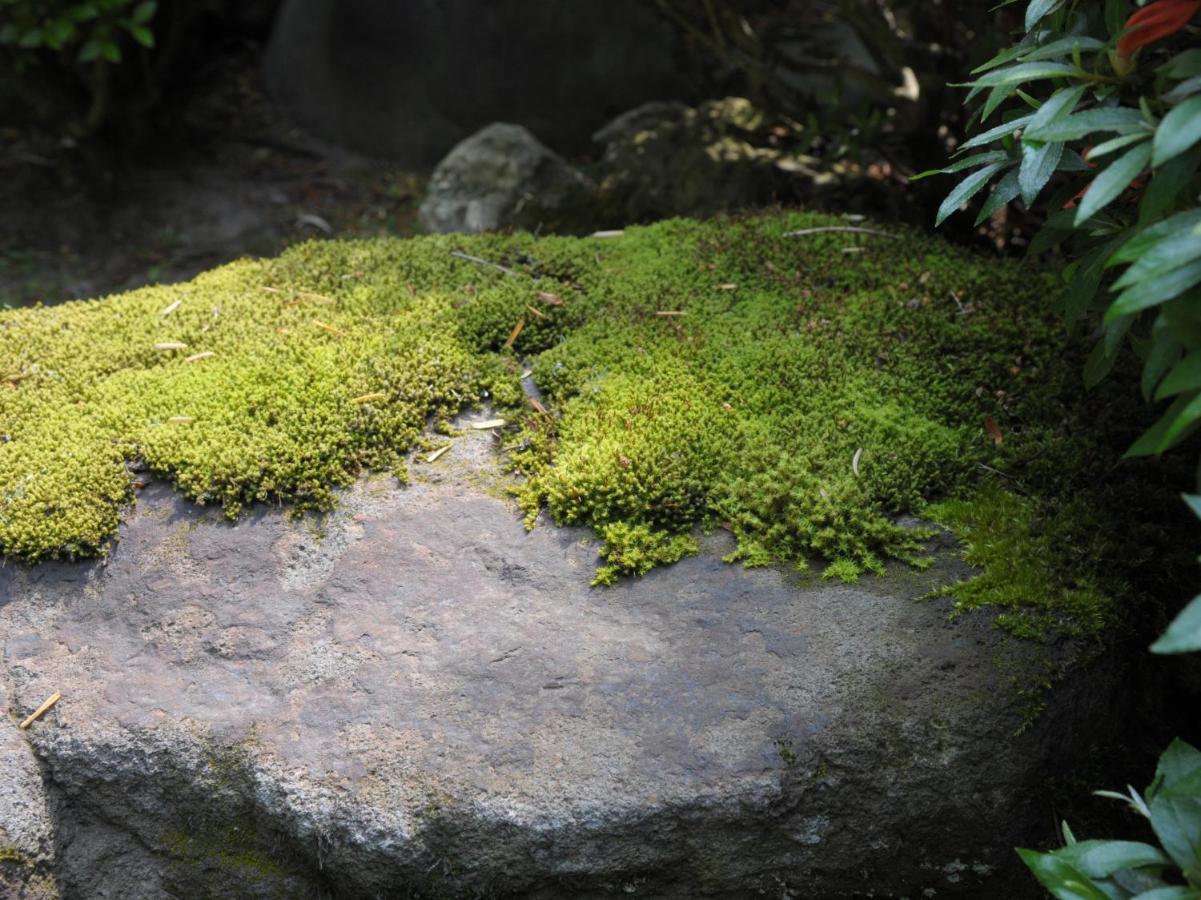 Historical Ryokan Senyukan Owani Esterno foto
