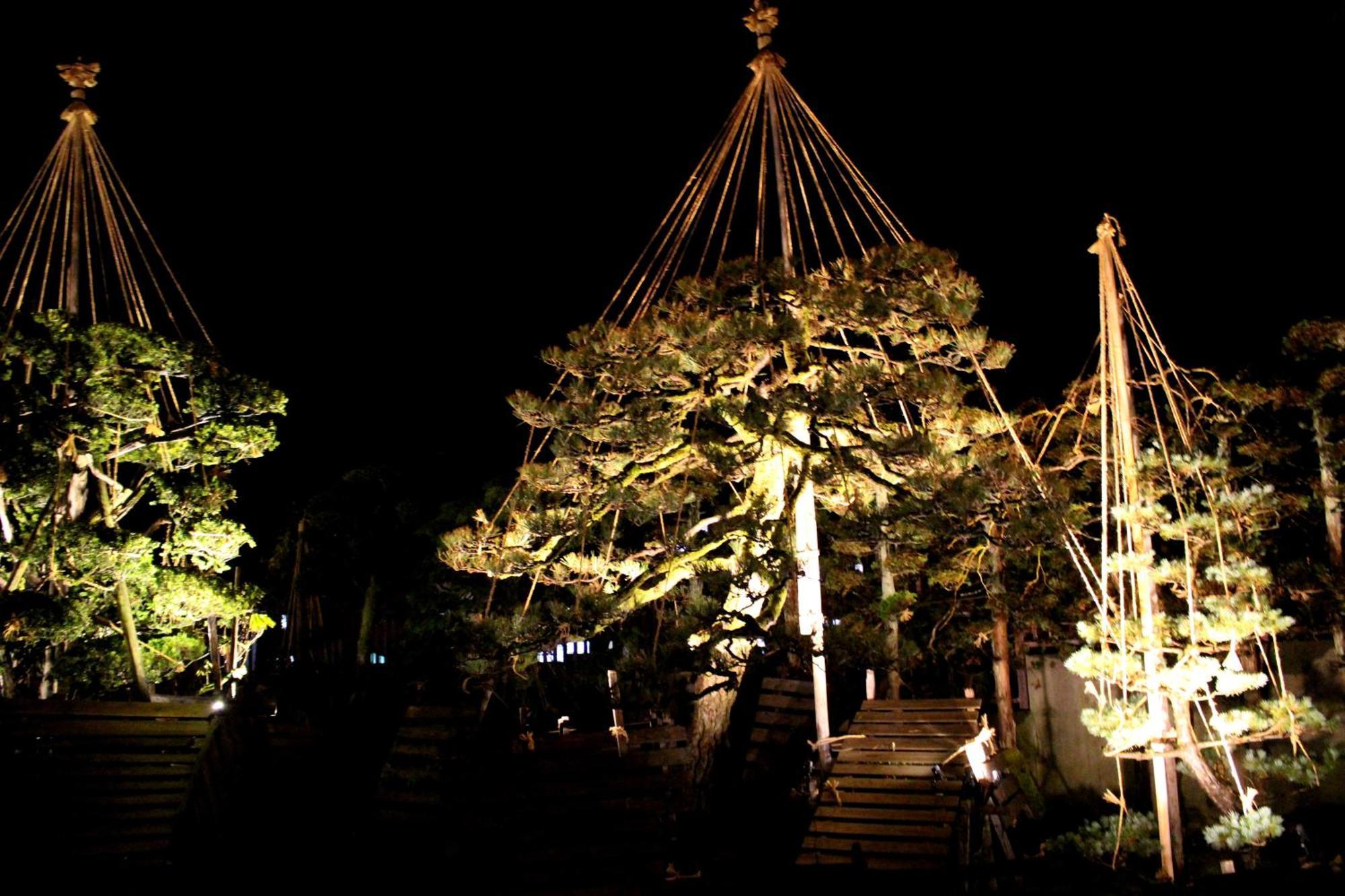 Historical Ryokan Senyukan Owani Esterno foto